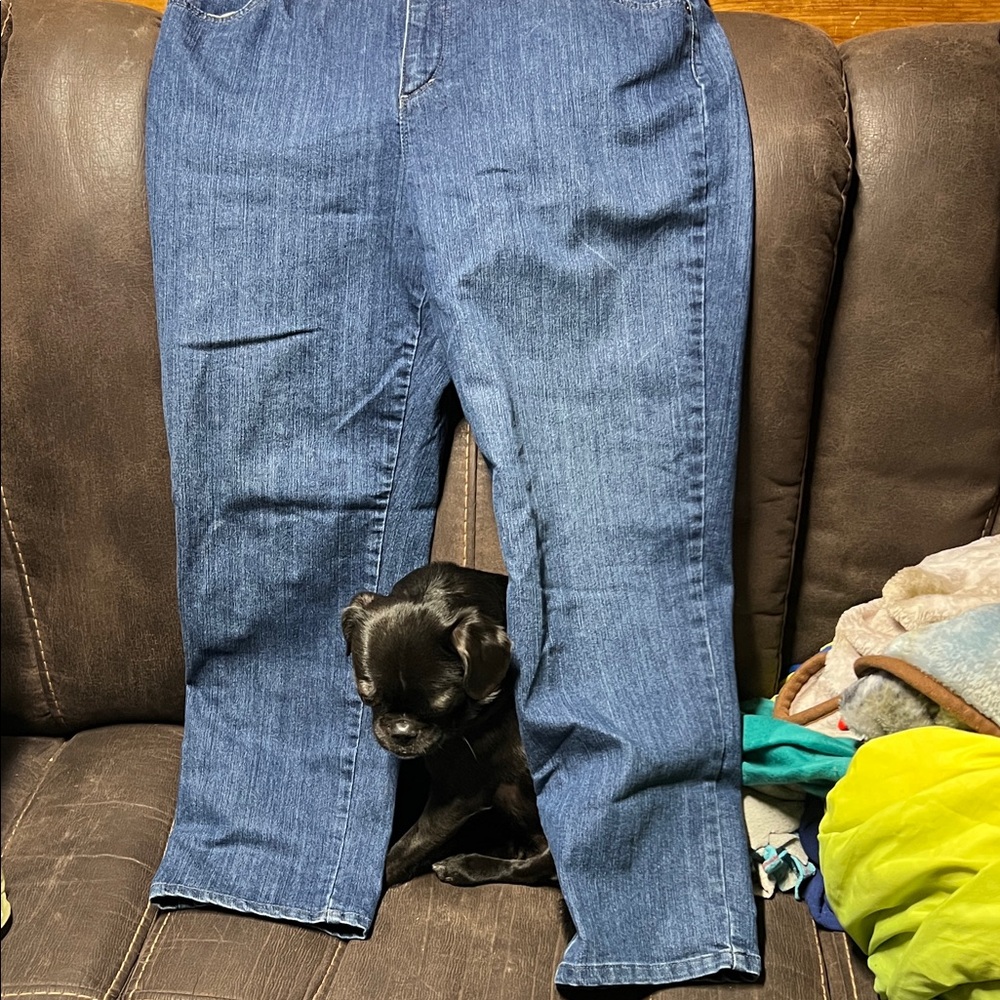 Gloria Vanderbilt Denim Jeans